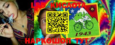 MDMA Камышлов