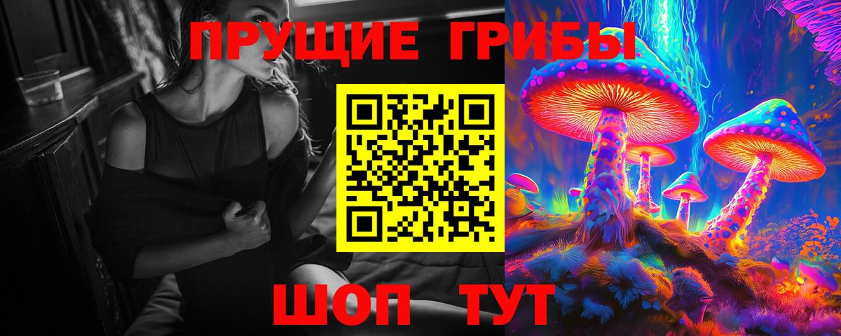 Псилоцибиновые грибы Psilocybine cubensis Шахты